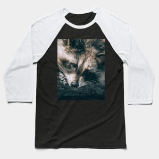 Sunbathing Raccoon Sleeping in a Tree Nature Photography Baseball T-Shirt